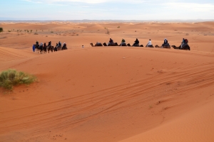 excursiones al desierto del Sahara 