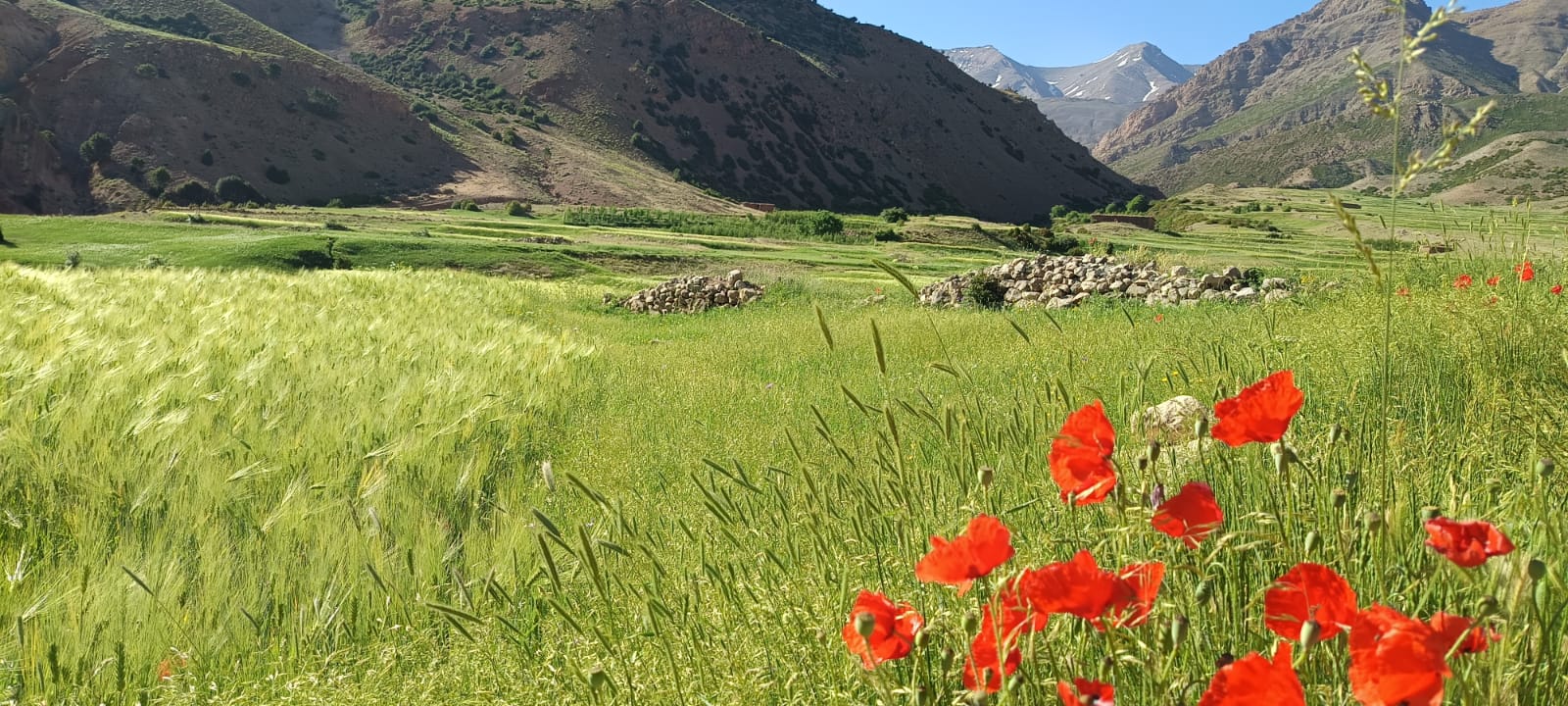 VIAJE A MARRUECOS