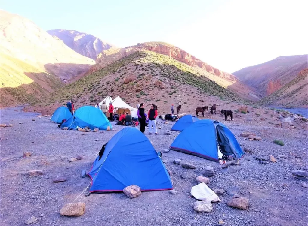 TREKKING-MGOUL-Mulas